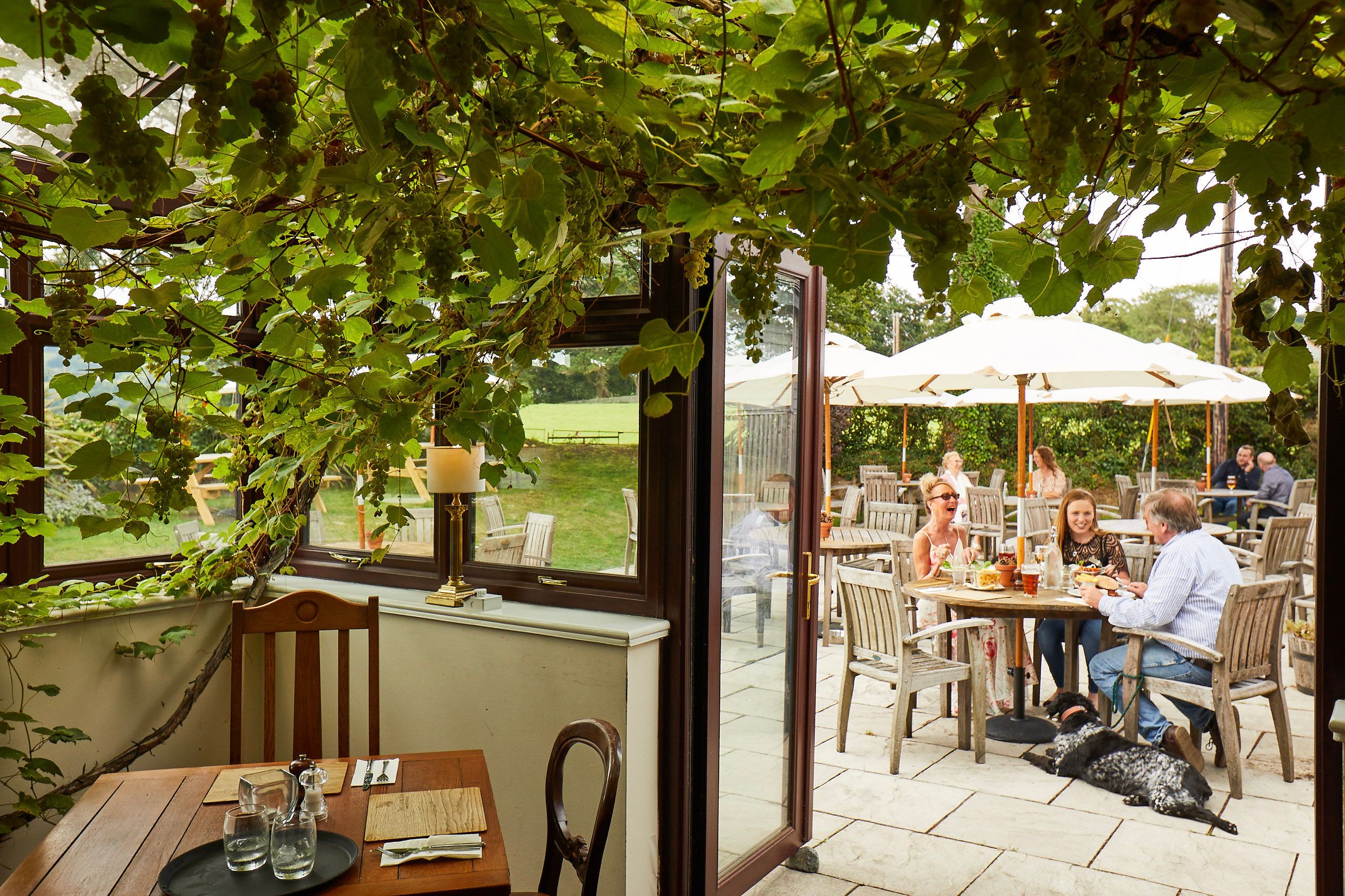 Beer Garden Pub